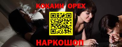 соль ск Сланцы